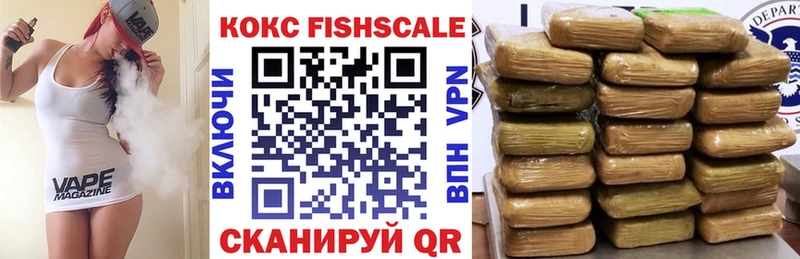 КОКАИН FishScale  МЕГА вход  Северск  где продают  