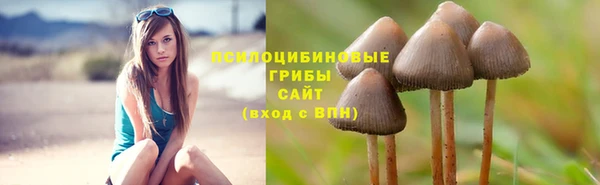 прущие крисы Белокуриха