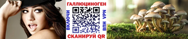 магазин продажи наркотиков  Северск  Псилоцибиновые грибы мицелий 